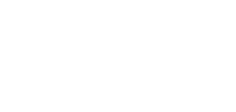 Logo - Chris Shea for Congress